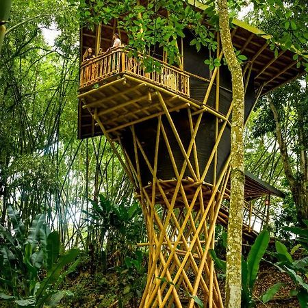 Eco Hotel Hacienda El Diamante Buga Dış mekan fotoğraf