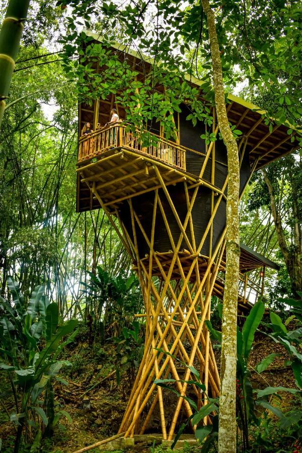 Eco Hotel Hacienda El Diamante Buga Dış mekan fotoğraf